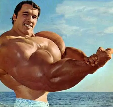Body Filler 6 Pack